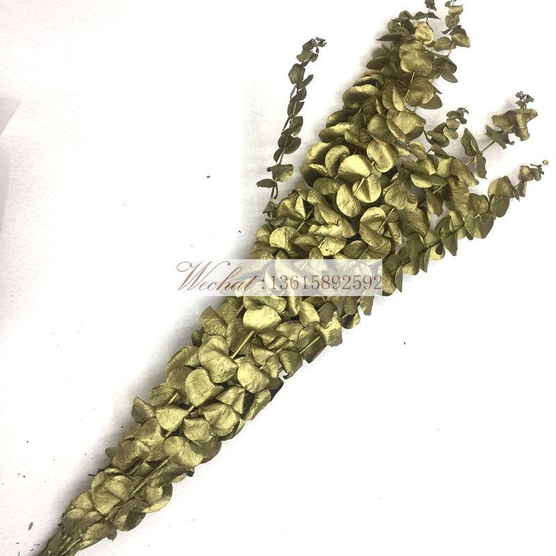 Imported everlasting flowers, Eucalyptus preserved flowers, various everlasting flower accessories, exclusively for flower shops Application Scenario