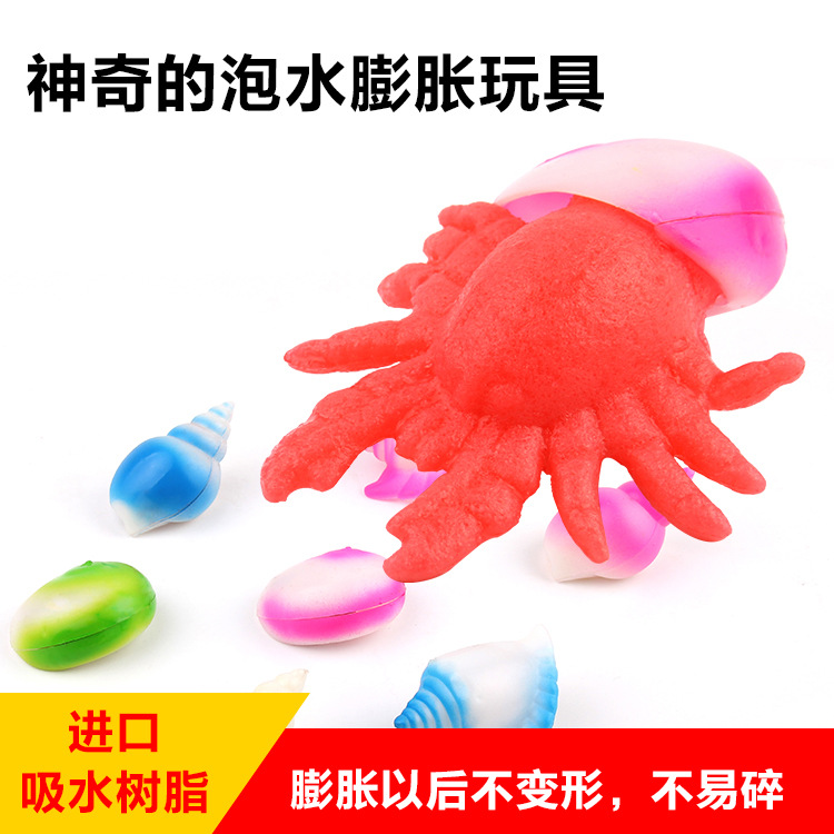Students science and education puzzle creative novel expansion toy 2016 new toy expansion conch thumbnail