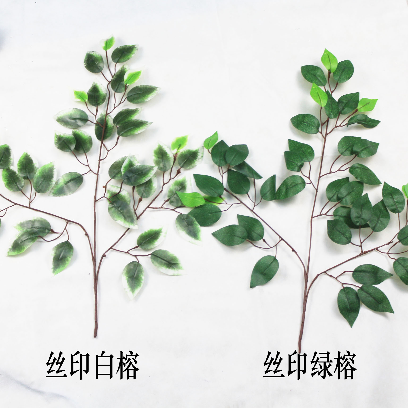 Simulated banyan tree leaf simulated banyan tree branch simulated banyan tree branch
