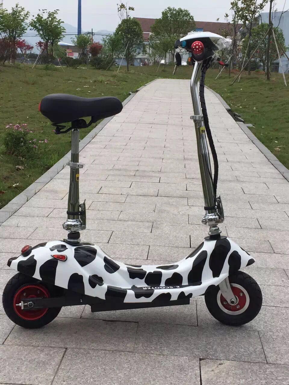 Baby dolphin electric vehicle