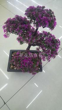 Five fork chrysanthemum grass large decoration office decoration welcome pine