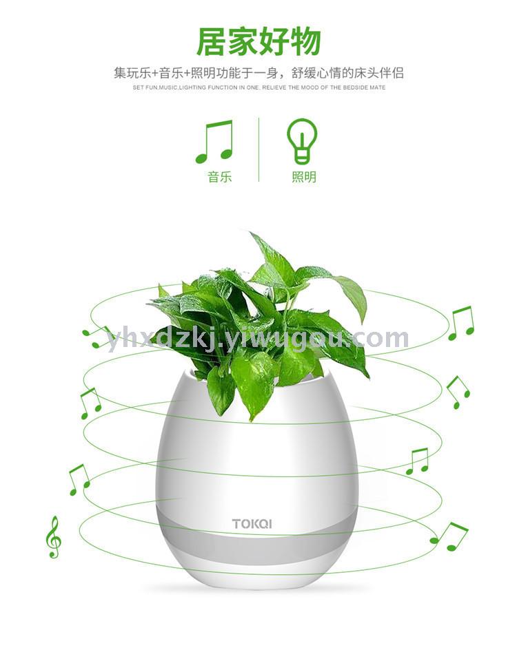 盆栽实物图