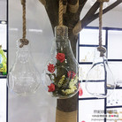 创意多肉玻璃花盆悬挂透明玻璃花瓶小吊瓶diy微景观