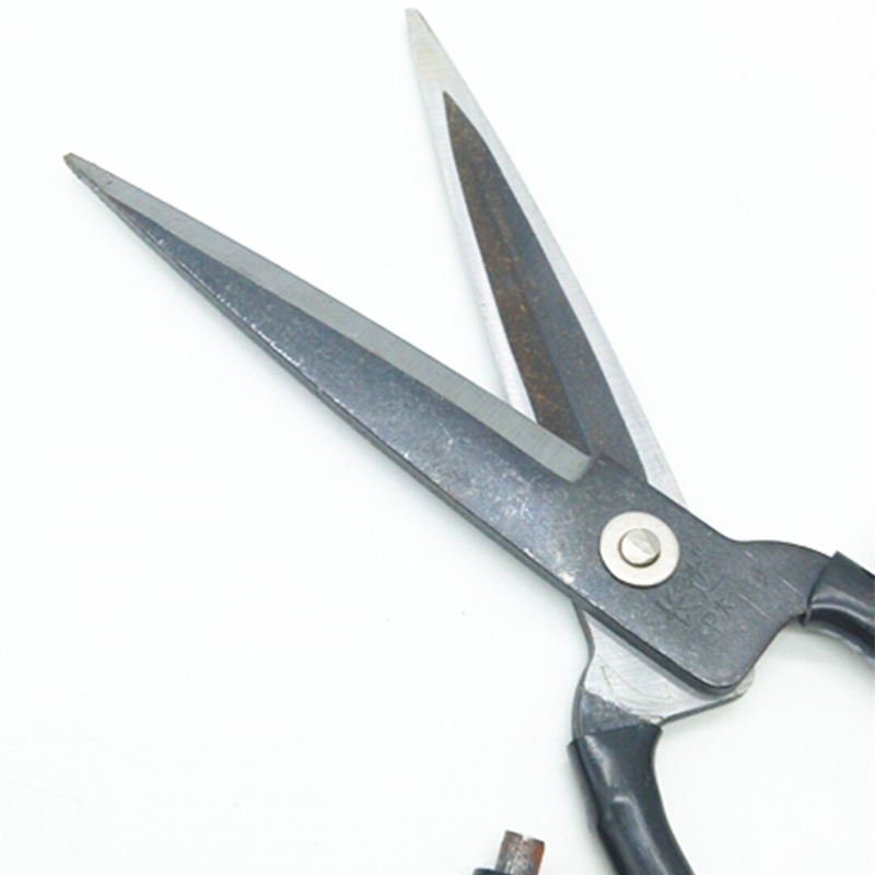 Sunshine Department Store black sheathed scissors, leather scissors, mostly large scissors details Picture