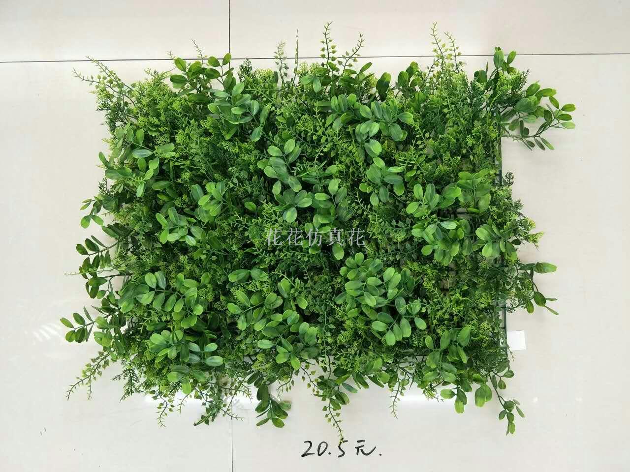 其他分类实物图