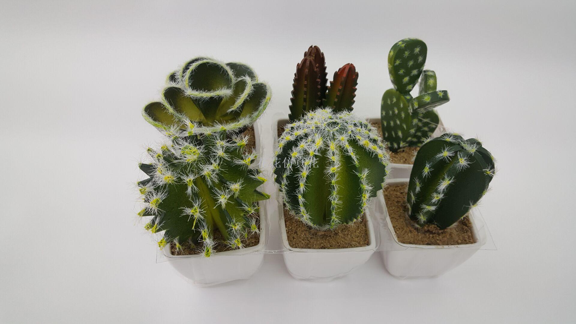 Small imitation flower cactus set