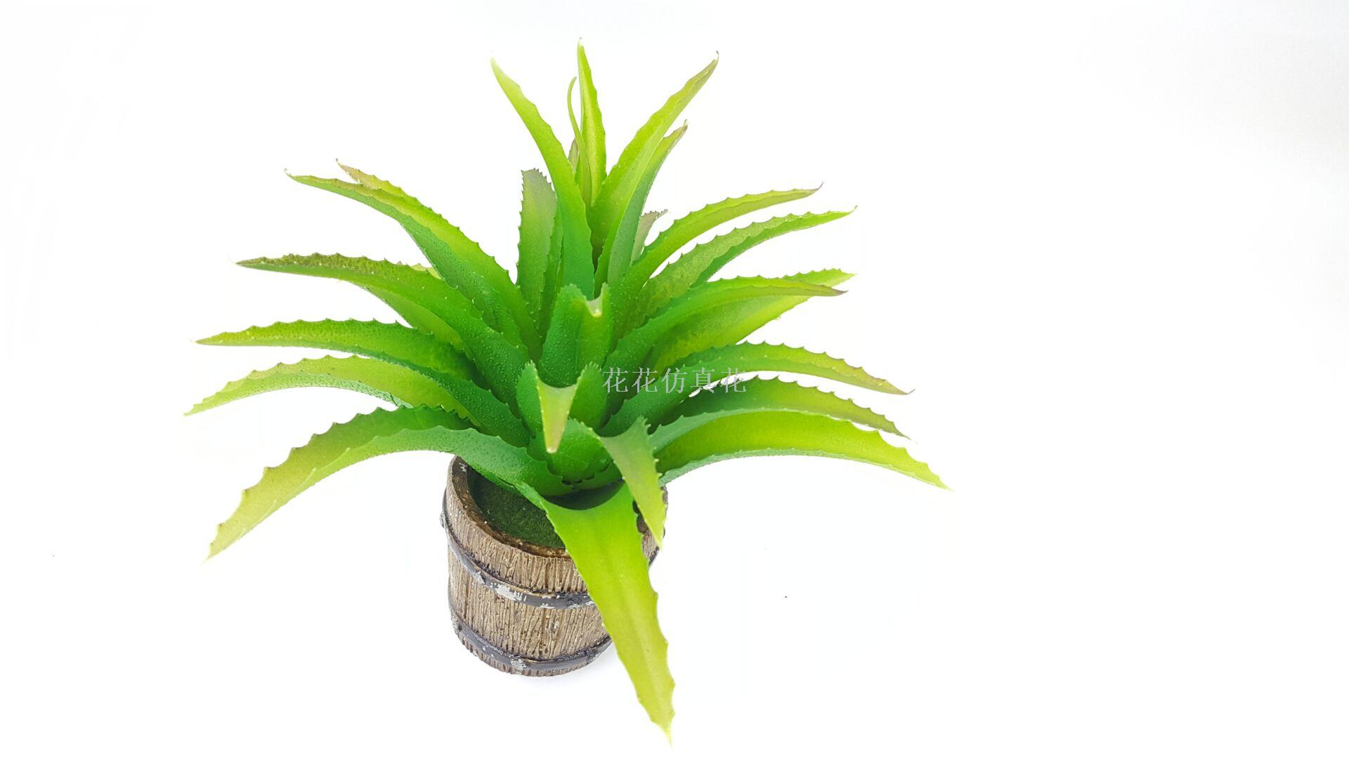 Imitation aloe bonsai plant home furnishing decoration