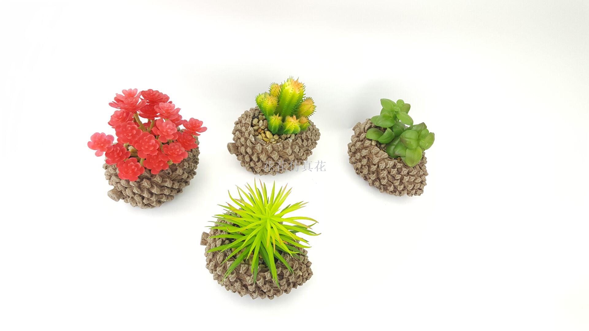 热销松果仿真盆景多肉多款混