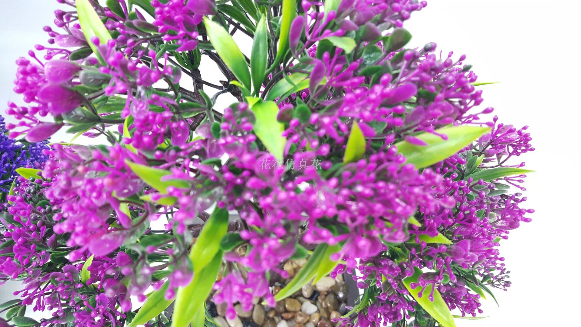 仿真植物实物图