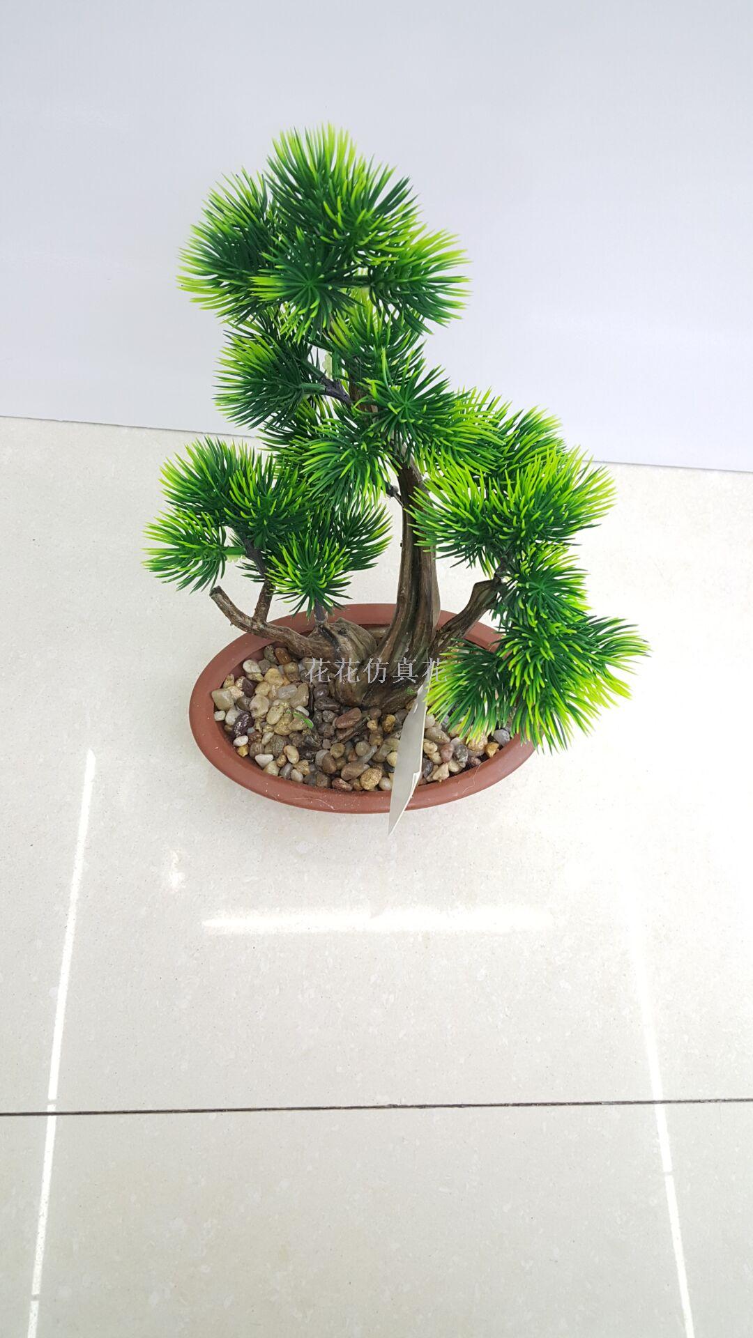 Decorate the living room, bedroom window with pine cones