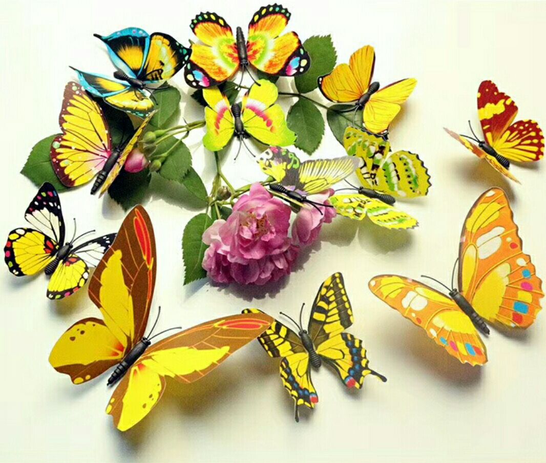 What new single-layer magnetic butterfly fridge magnets are available for direct sales from the manufacturer