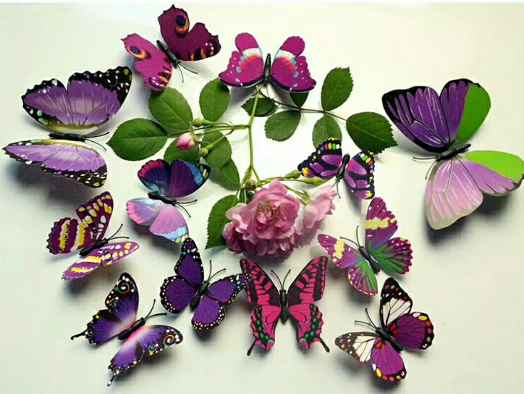 What new single-layer magnetic butterfly fridge magnets are available for direct sales from the manufacturer details Picture