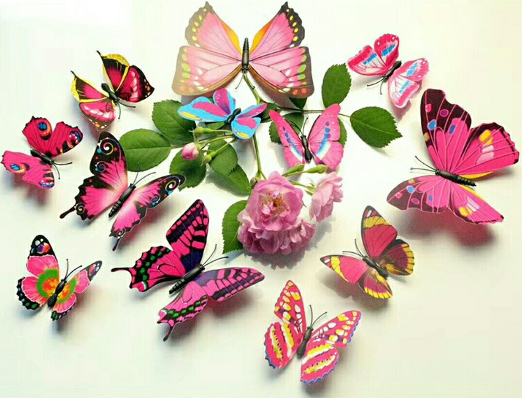 What new single-layer magnetic butterfly fridge magnets are available for direct sales from the manufacturer Application Scenario