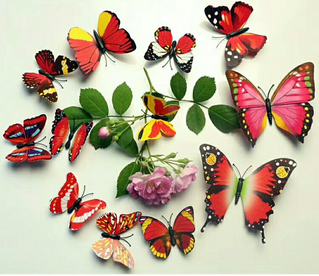 What new single-layer magnetic butterfly fridge magnets are available for direct sales from the manufacturer Specification image
