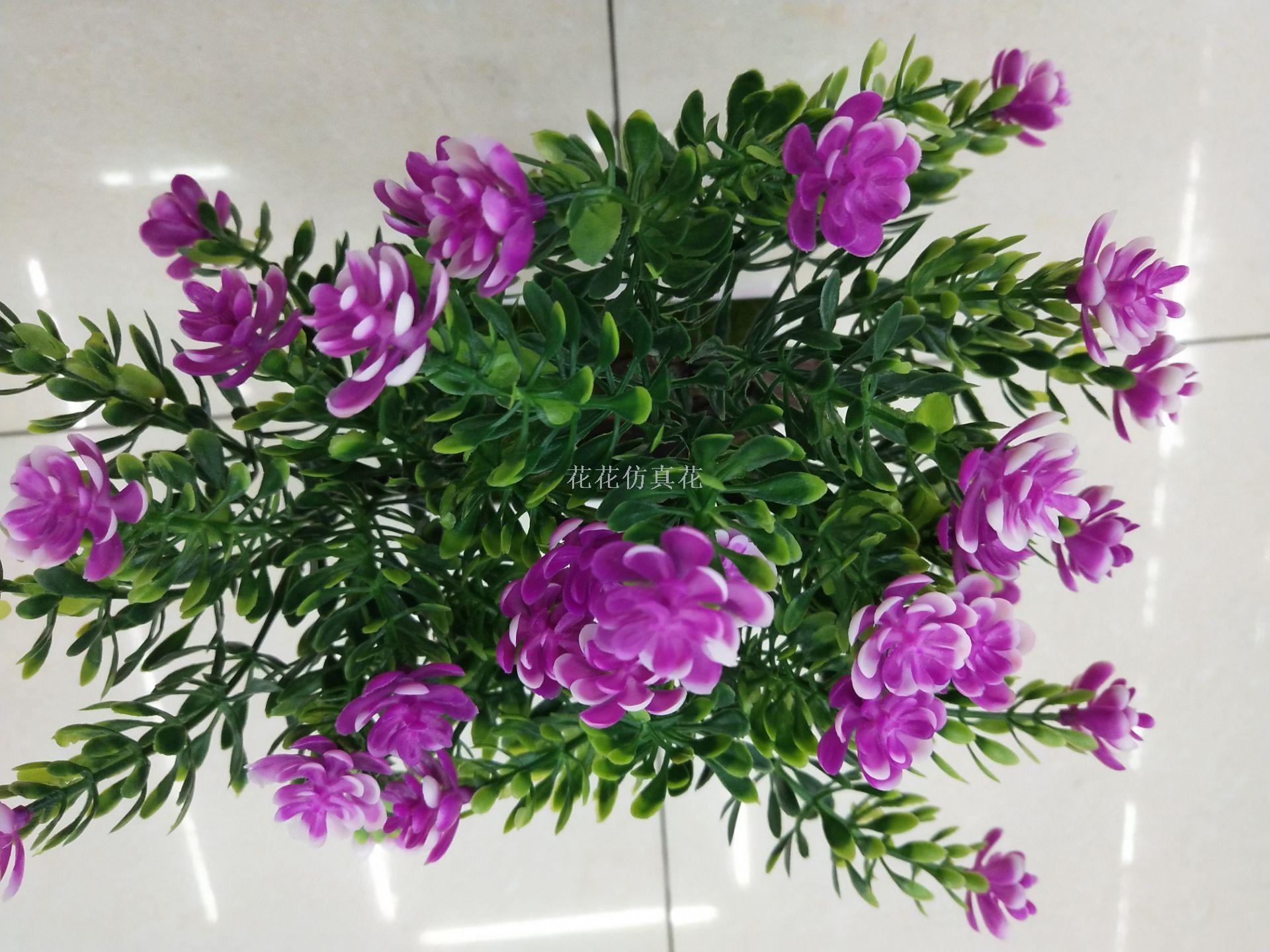 仿真植物实物图