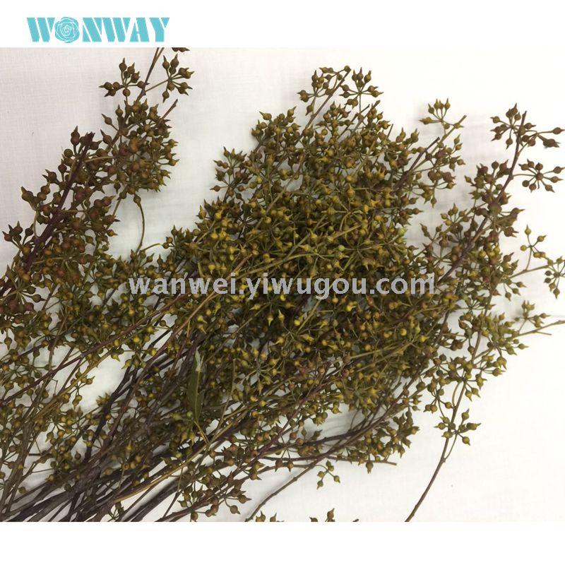 永生花保鲜花 干花 小米果 工艺品 浮游瓶 软装 婚庆配草产品图