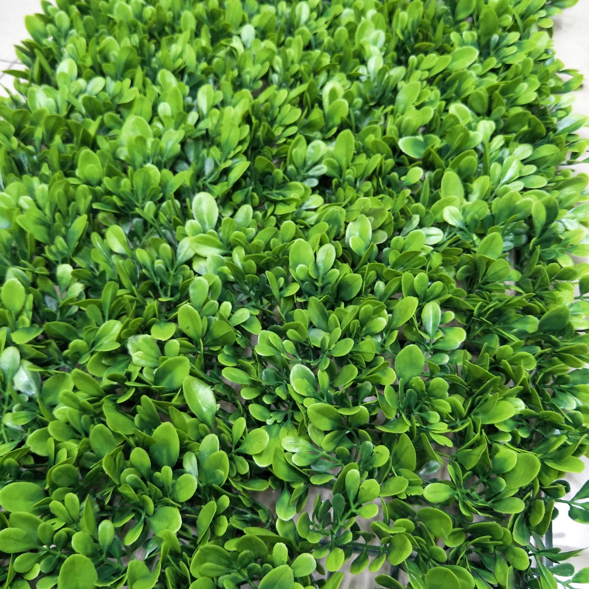 Artificial flowers, artificial lawns, artificial trees, artificial flowers, artificial lawns, artificial trees, plastic flower factories, plant walls, lawns, artificial boxwood grass, artificial large milan lawns, artificial lawns, garden lawns, artificial flowers, artificial lawns, artificial trees Specification image