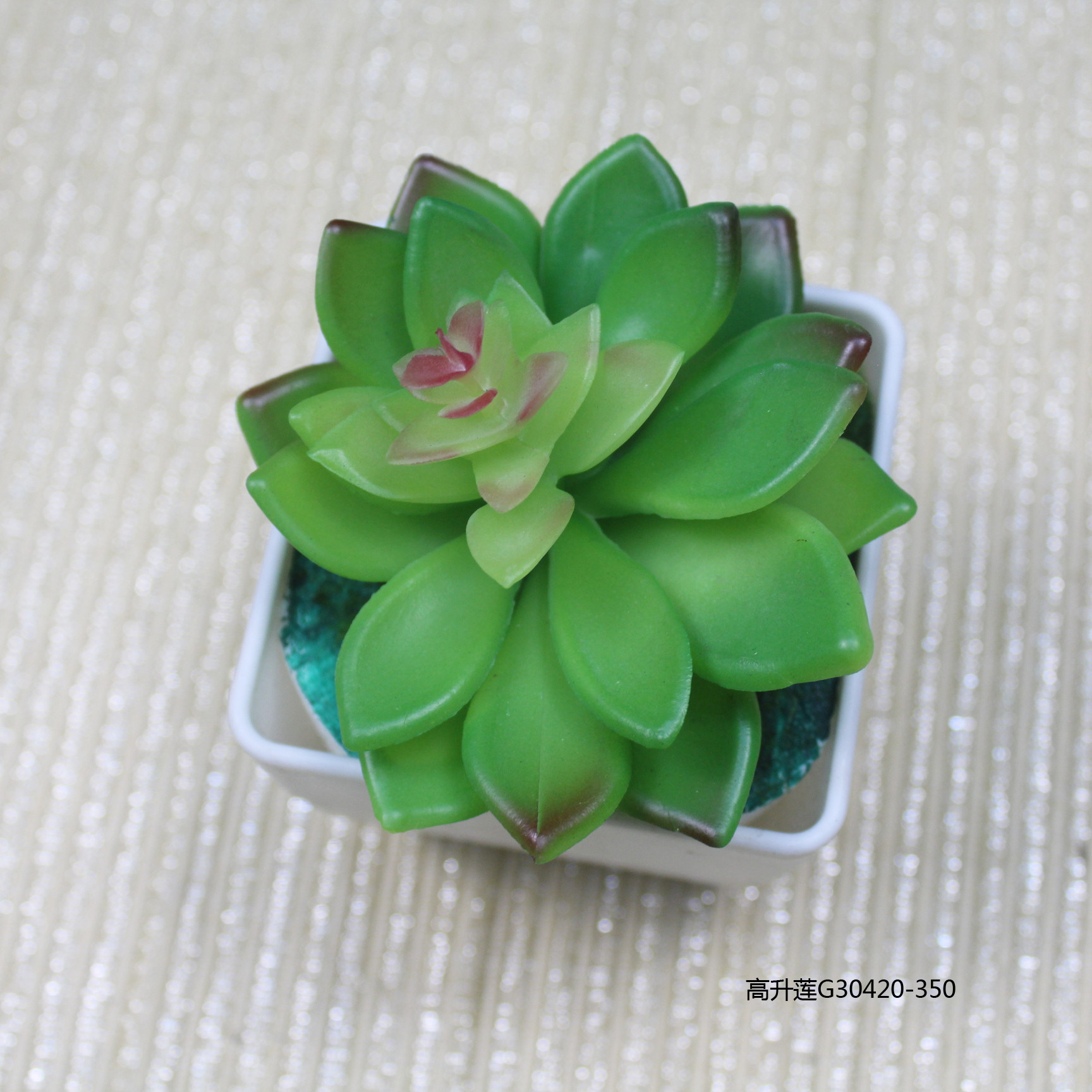 Artificial succulent plant bonsai, green plants, succulent plant wall accessories, plastic flower potted plants, artificial plant wall Application Scenario