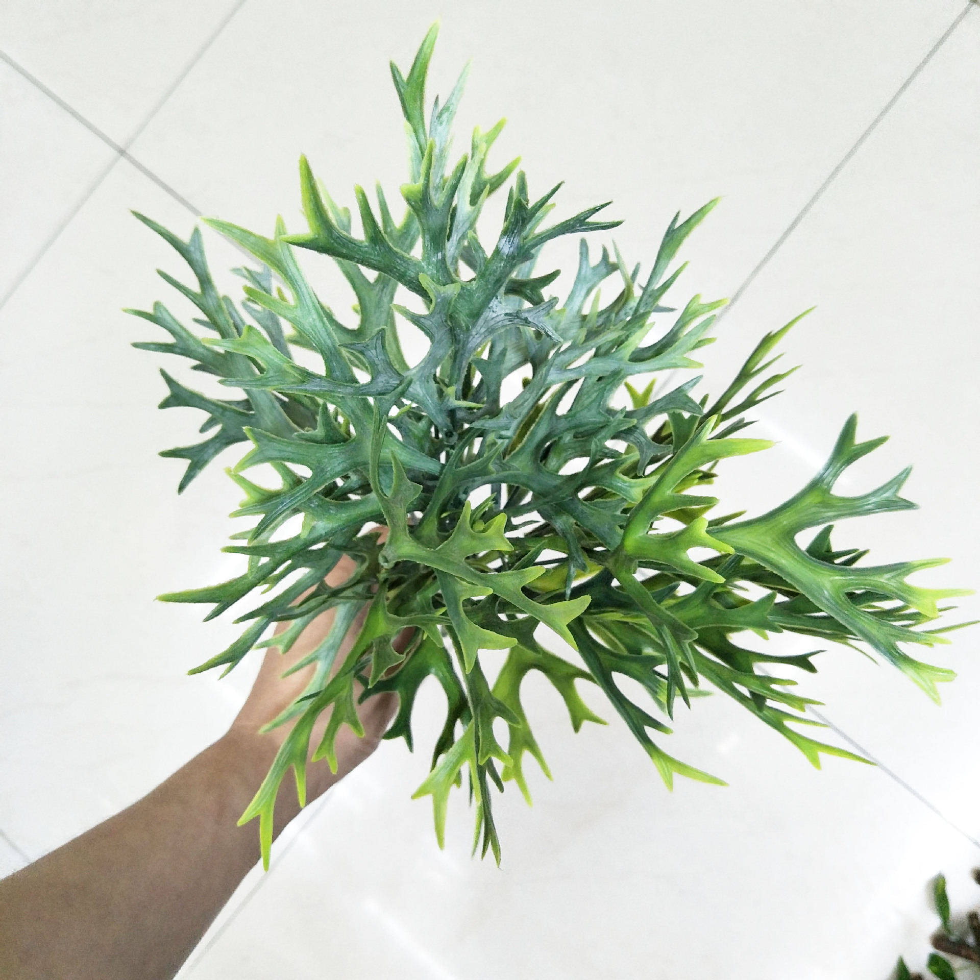 Artificial flowers, artificial lawns, artificial trees, artificial antler leaves, artificial fennel grass, moss grass, artificial Persian grass, artificial bean sprout grass, artificial plants details Picture