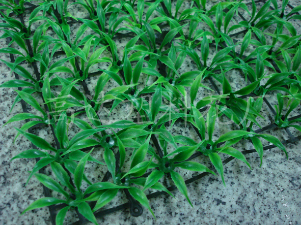 Wholesale of artificial turf, plastic turf, artificial turf, carpet grass, eucalyptus artificial turf Specification image