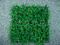 仿真草坪 尤加利塑料草坪 人造草坪  地毯草 人造草皮厂家图