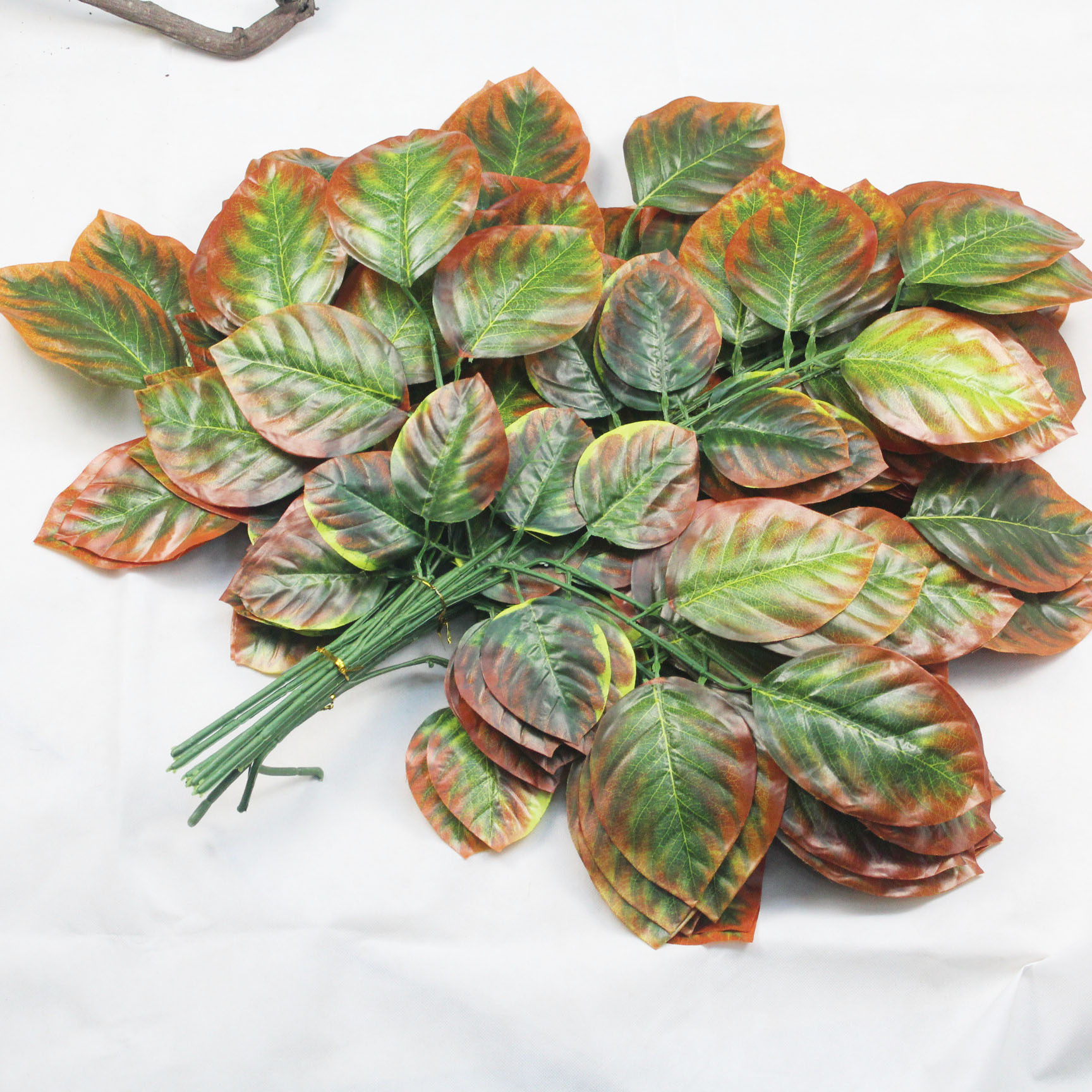 Simulated trees, simulated magnolia branches, simulated twigs, simulated large leaves, simulated apple leaves, simulated apple tree branches details Picture