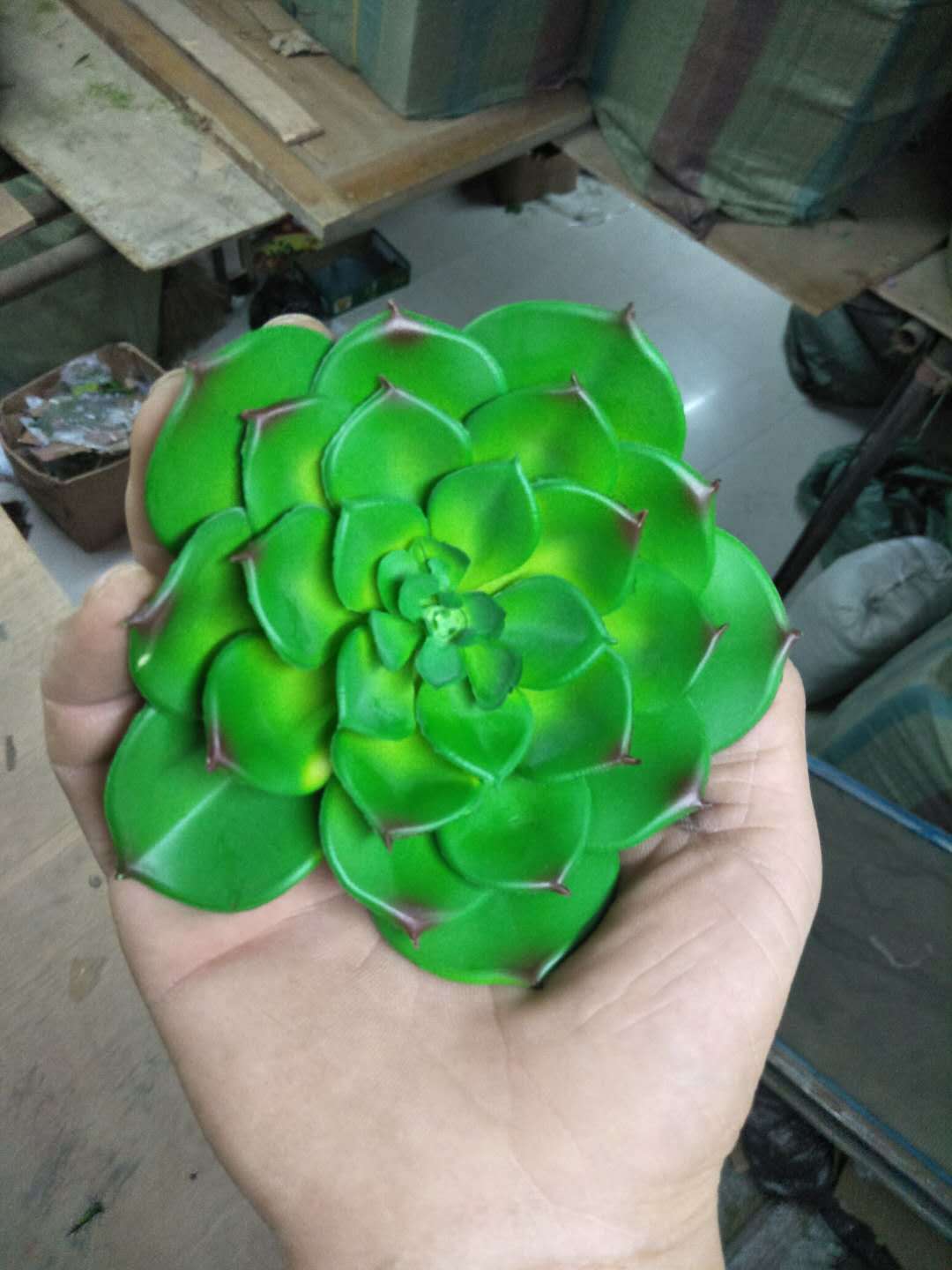 Artificial succulent plant bonsai, green plants, succulent plant wall accessories, plastic flower potted plants, artificial plant wall details Picture