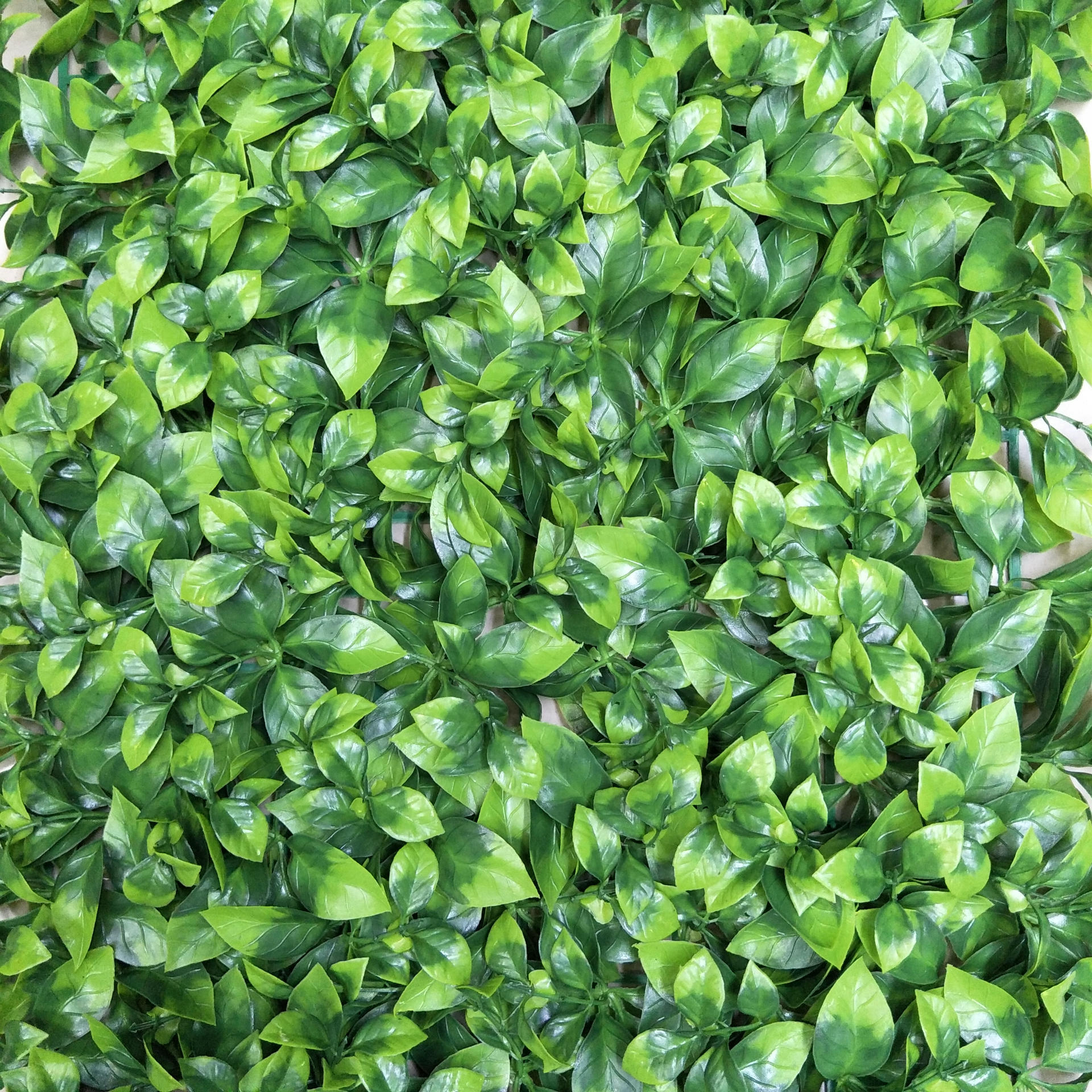 Artificial flowers, artificial lawns, artificial trees, artificial flowers, artificial lawns, artificial trees, plastic flower factory, artificial camellia grass, artificial milan lawn, artificial lawn, garden lawn, plant wall grass, artificial flowers, artificial lawns, artificial trees Specification image