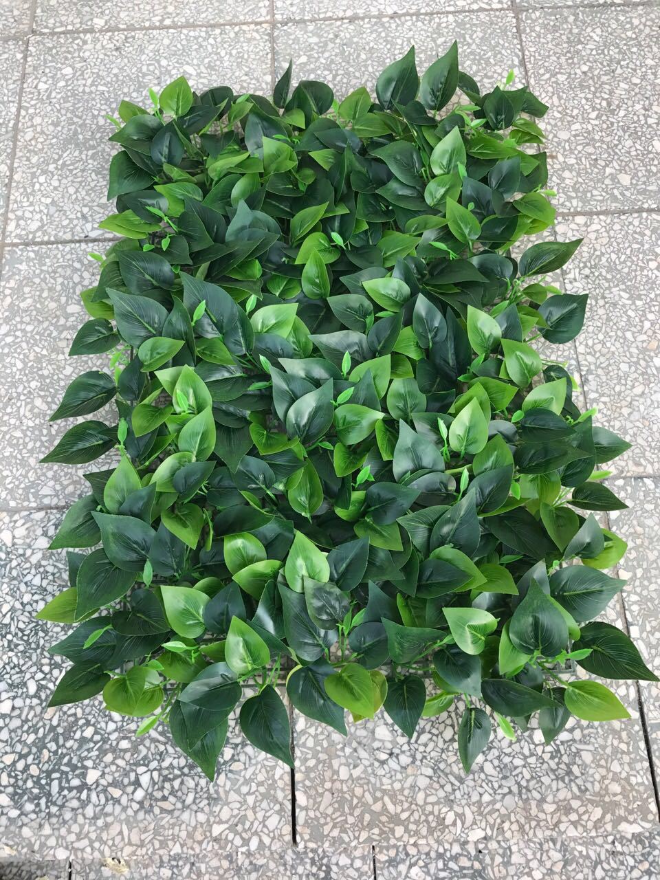 高达仿真植物墙草坪仿真胶叶草坪仿真绿萝草坪地瓜叶草坪苹果叶草