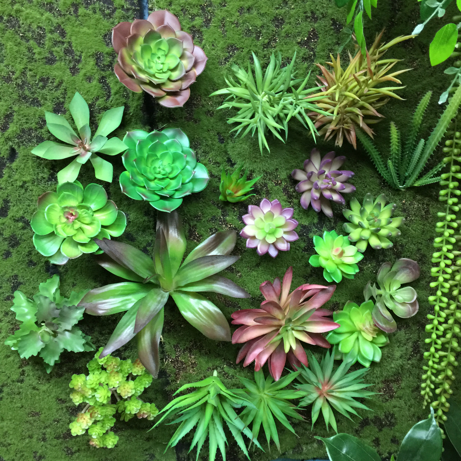 Artificial succulent plant bonsai, green plants, succulent plant wall accessories, plastic flower potted plants, artificial plant wall