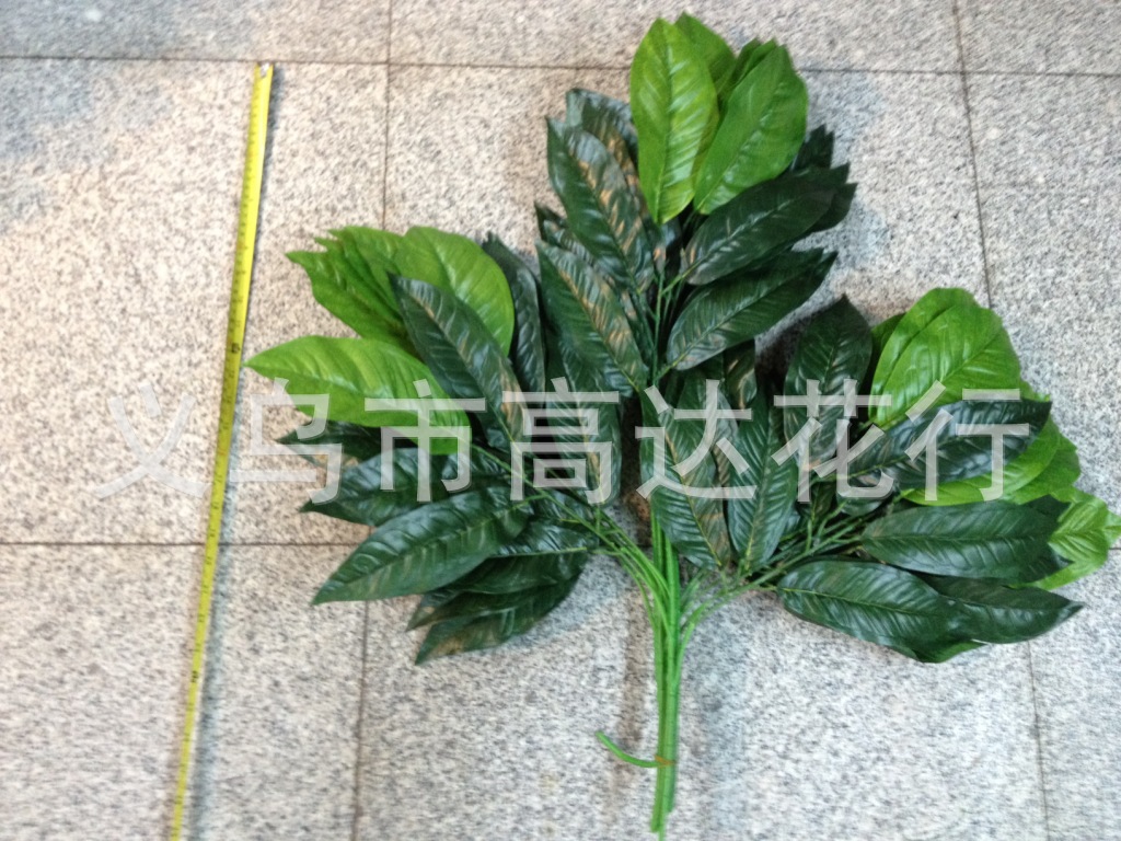 Geely leaves simulation mango leaves simulation tree leaves simulation banyan leaves simulation