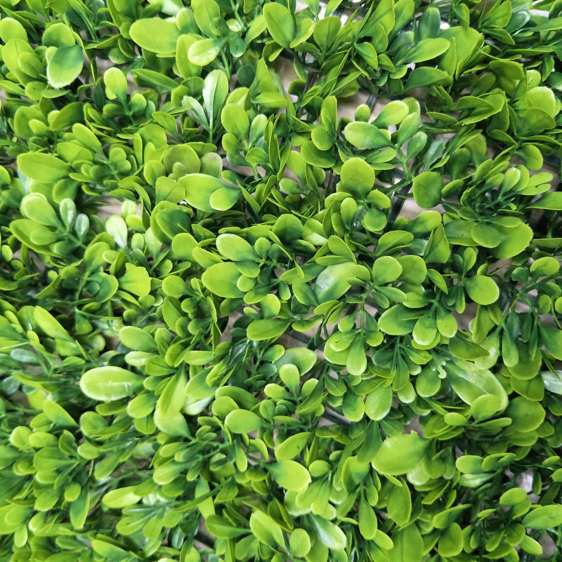 Artificial flowers, artificial lawns, artificial trees, artificial flowers, artificial lawns, artificial trees, plastic flower factories, plant walls, lawns, artificial boxwood grass, artificial large milan lawns, artificial lawns, garden lawns, artificial flowers, artificial lawns, artificial trees details Picture