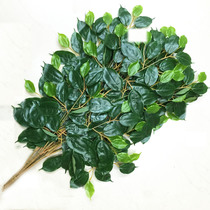 Gouda flower factory simulation camphor tree leaf simulation camphor leaf leaf garden decoration leaf false leaf engineering