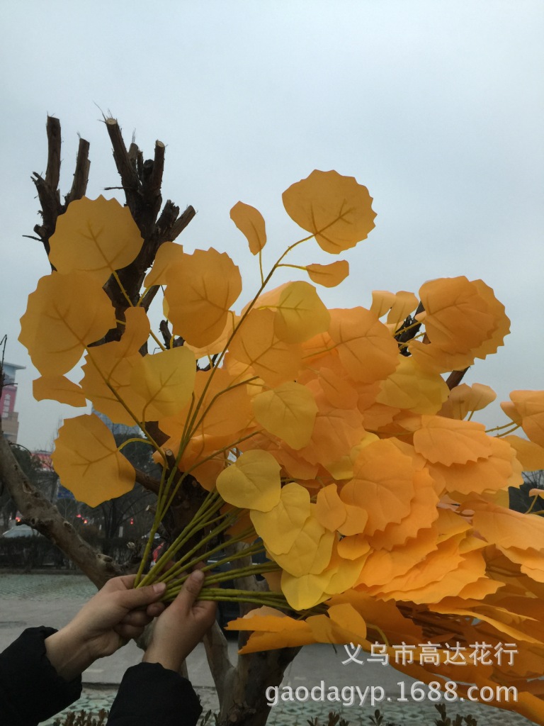 塑料树叶 仿真胡杨叶 树叶 假植物 胡杨叶 仿真花叶 仿真白树叶