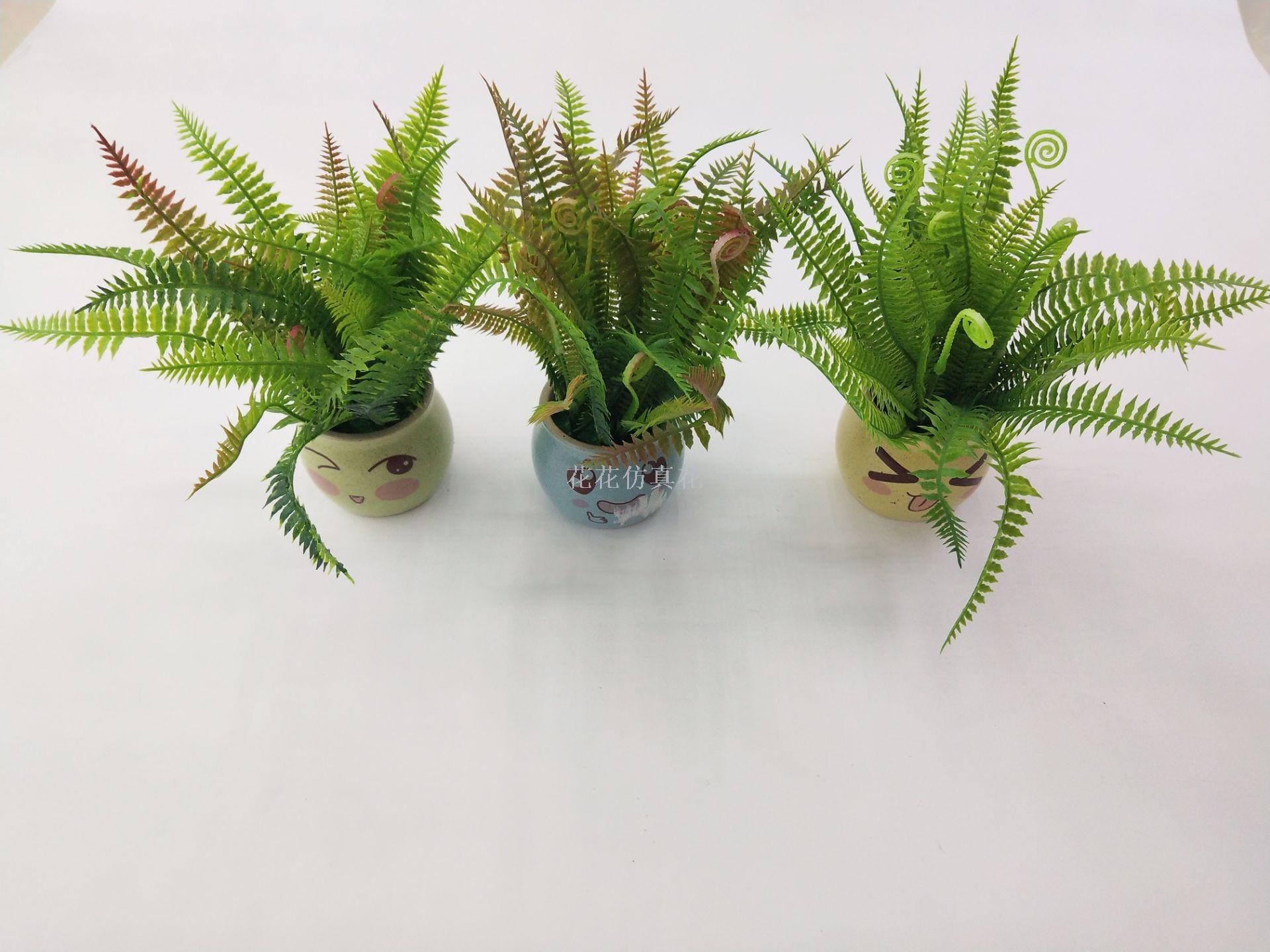 Ceramic basin cartoon expression green value decorates sitting room bedroom study table
