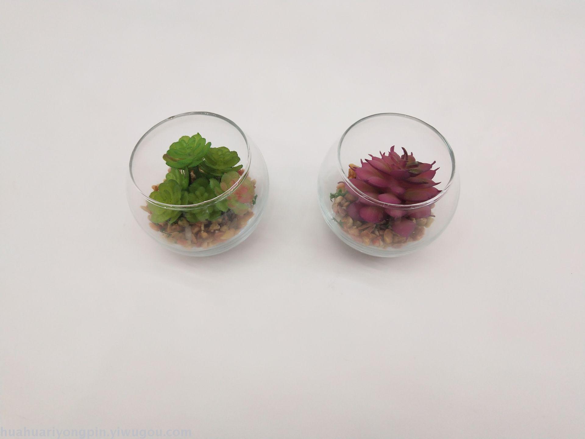 Simulation trumpet glass succulent adornment sitting room bedroom study table