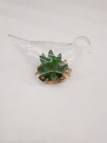 Imitation glass bird bottle succulent decoration living room bedroom study table
