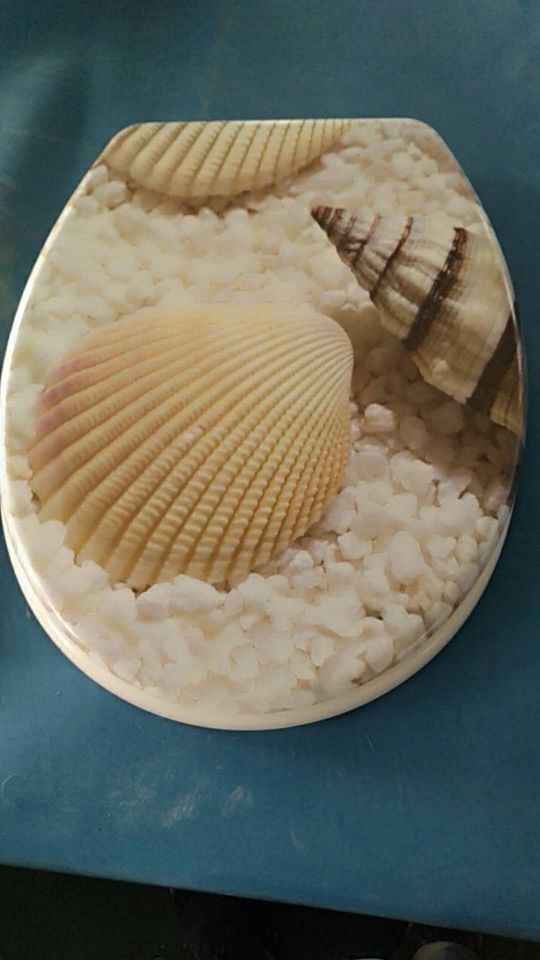 Urea Formaldehyde Single-Sided Printed Toilet Lid details Picture