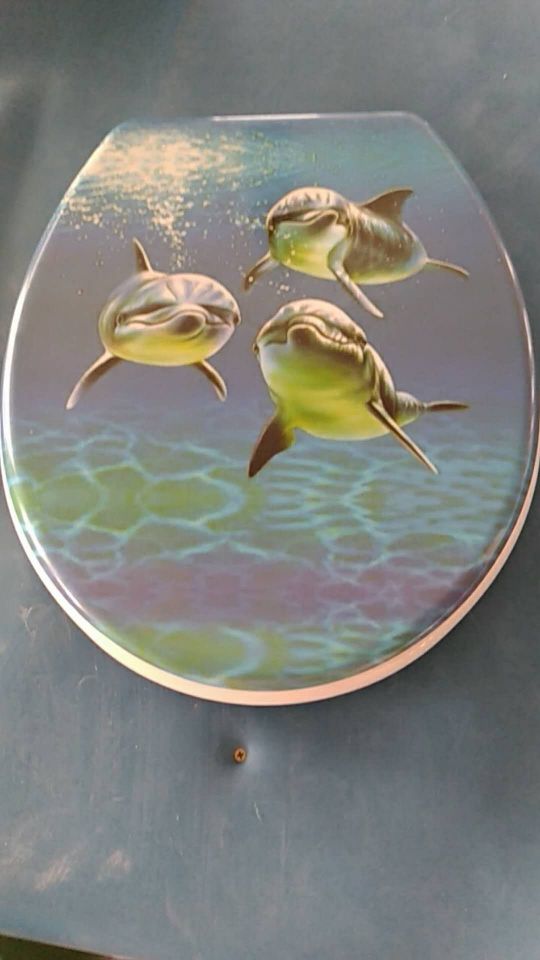Urea Formaldehyde Single-Sided Printed Toilet Lid Application Scenario