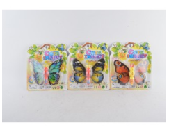 On-chain butterfly full figure