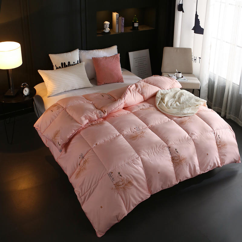 Ywxuege New Duvet Quilt Winter Warm Duvet Quilt - Jade Goose Feather + Goose Car Accessories Factory Quilt Set Four Sets details Picture