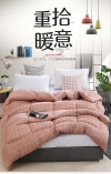 Thick and warm quilts for autumn and winter, core quilts for spring and autumn, air-conditioned quilts, cotton quilts, single and double feather velvet quilts, checkered quilts details Picture