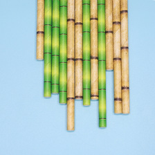 新款竹子一次性可多用环保纸吸管