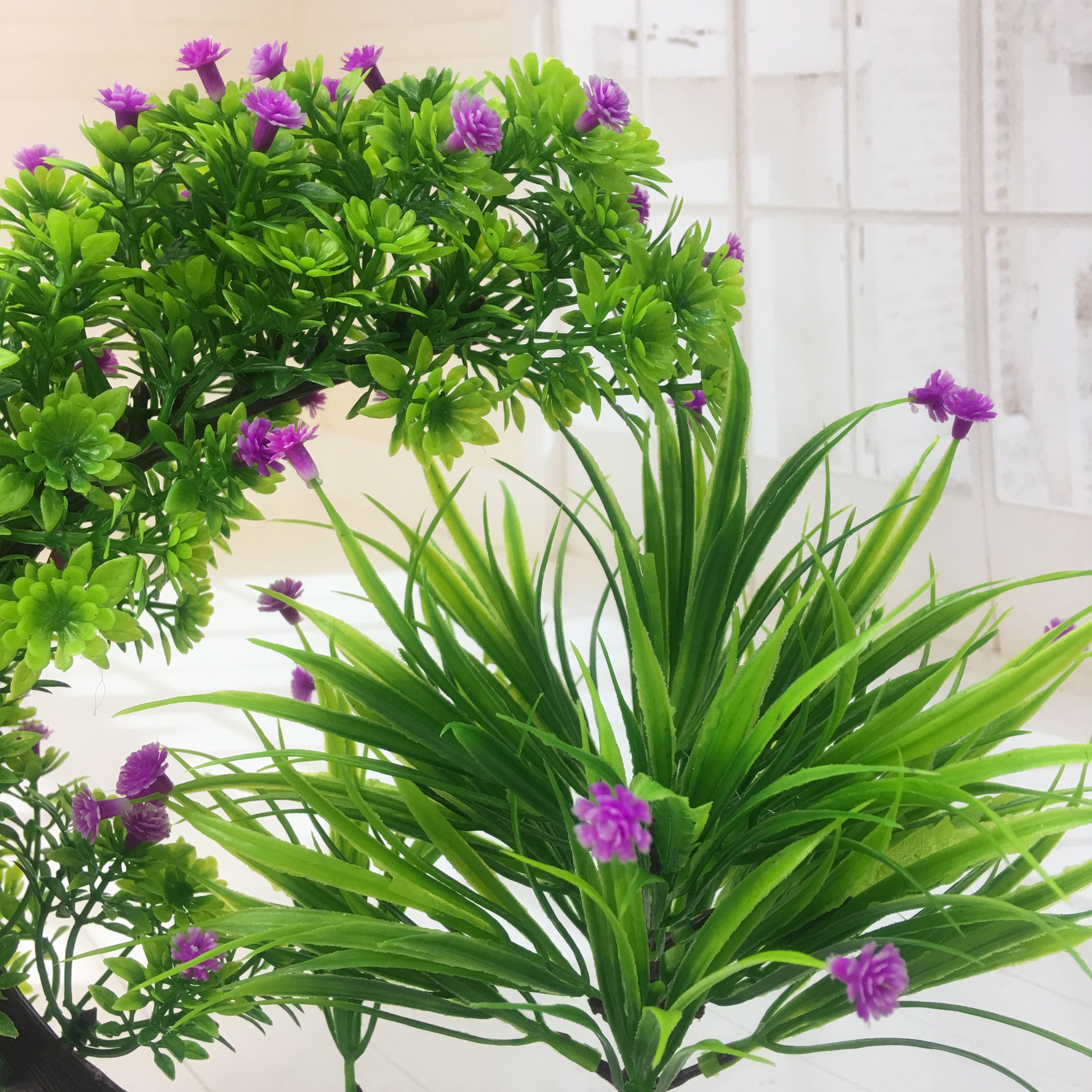 ويبيع مصنّع النباتات الصغيرة نباتات النباتات الطبيعية Specification image