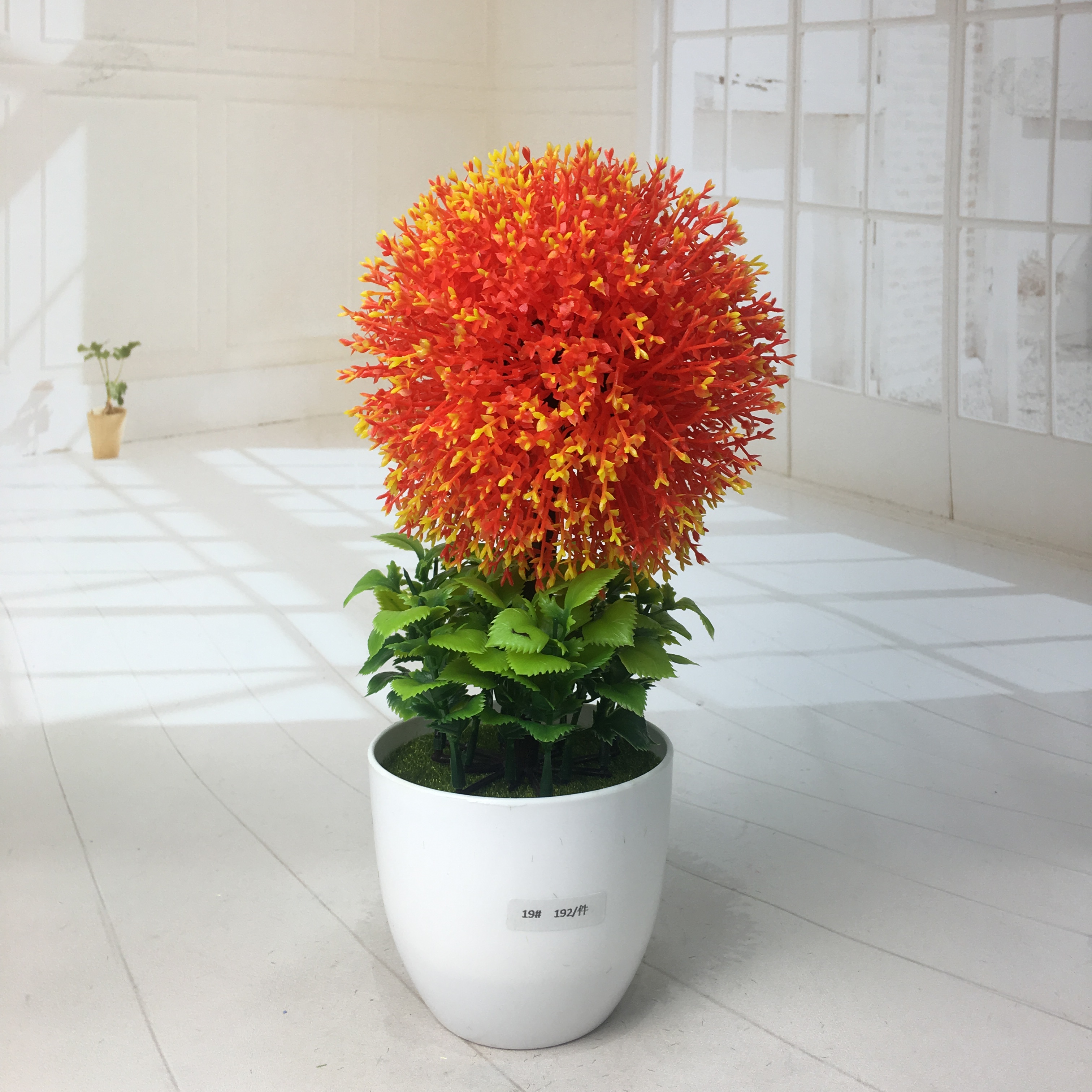 ويبيع مصنّع النباتات الصغيرة نباتات النباتات الطبيعية Specification image