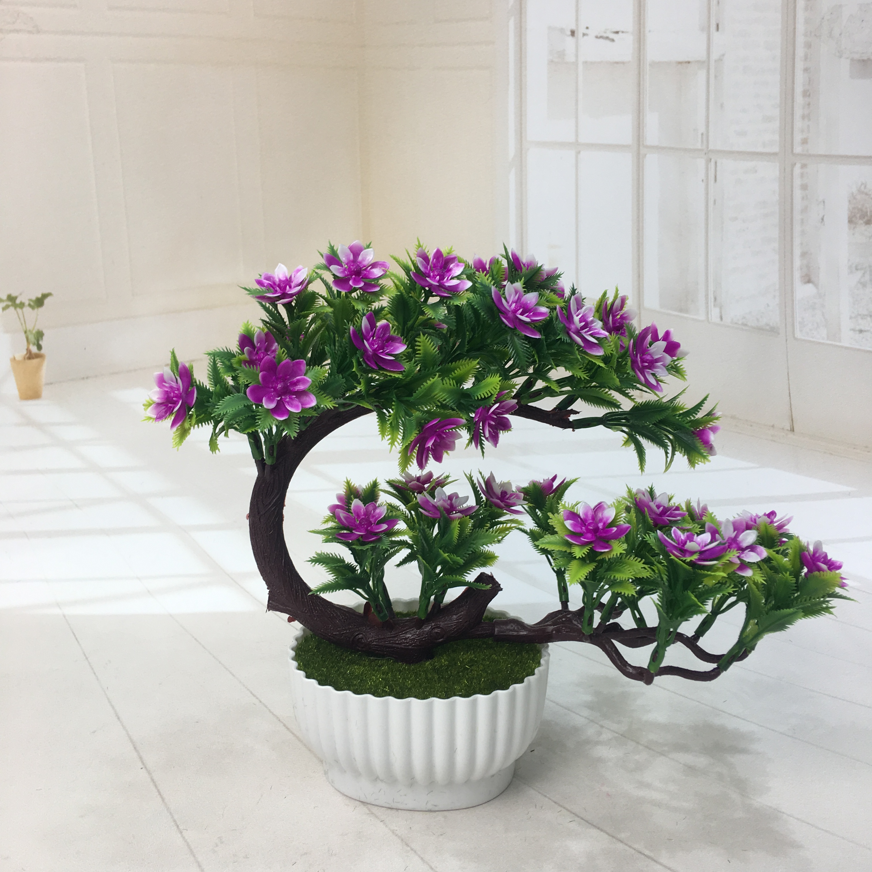ويبيع مصنّع النباتات الصغيرة نباتات النباتات الطبيعية Specification image