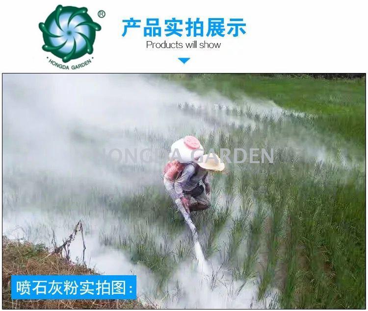其他分类实物图