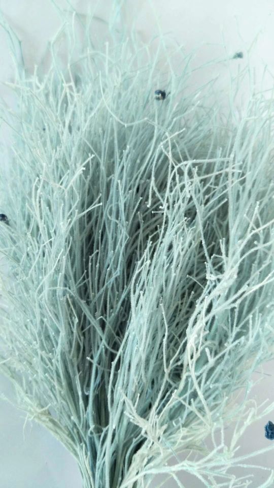 Eternal flower, preserved flower, dream grass