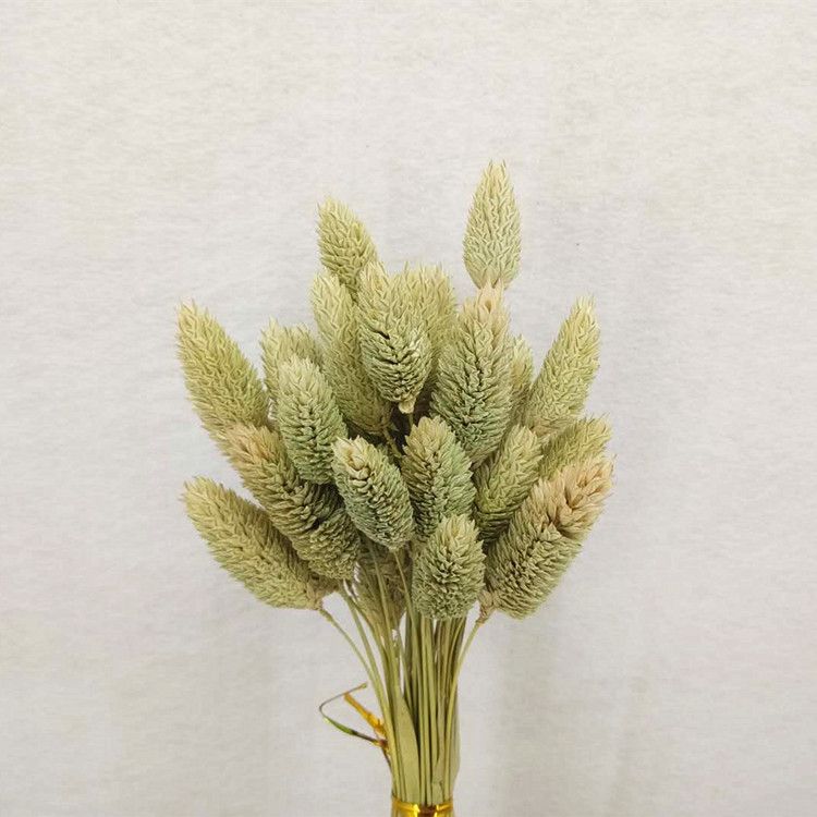 Dried flower, eternal flower, gemstone grass details Picture