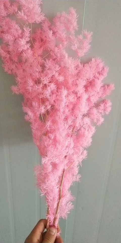 Flower shop accessories: dried flowers, preserved flowers, everlasting flowers, and pomelo Specification image
